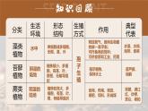 人教版2024七年級上冊生物種子植物 課件