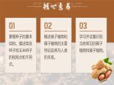 人教版2024七年級上冊生物種子植物 課件