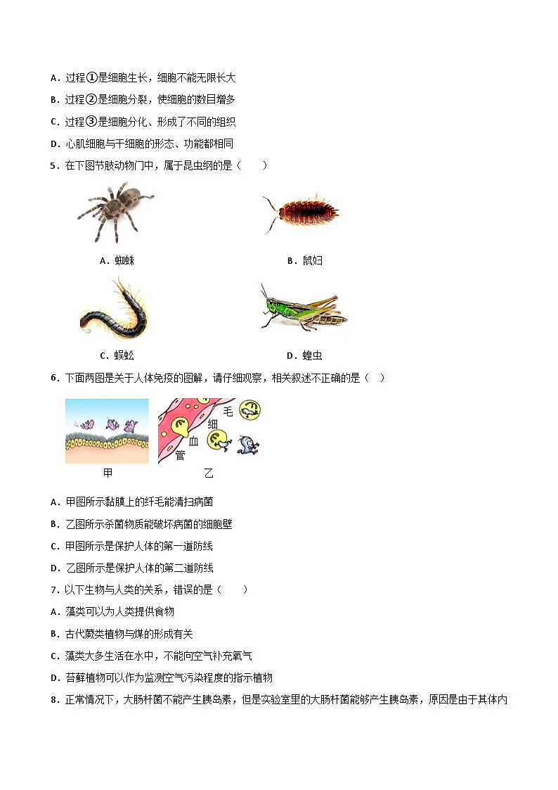 2025年中考押题预测卷：生物（福建卷02）（考试版）第2页