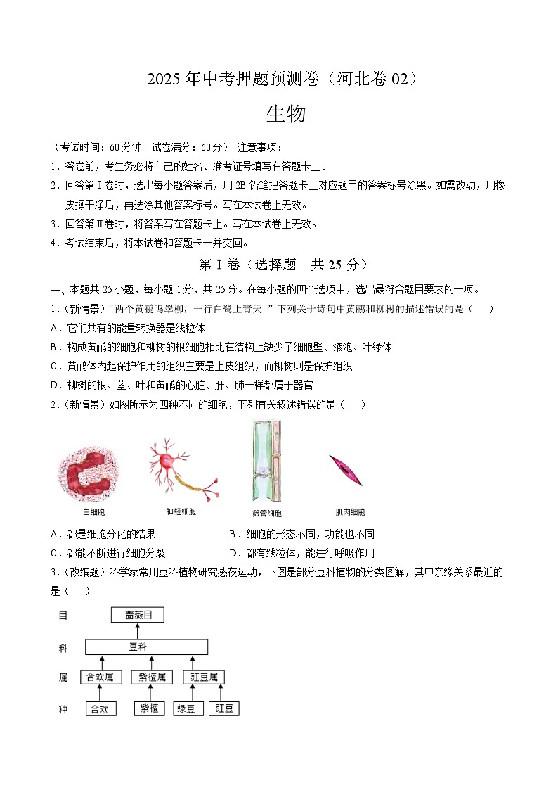 2025年中考押题预测卷：生物（河北卷02）（考试版）第1页