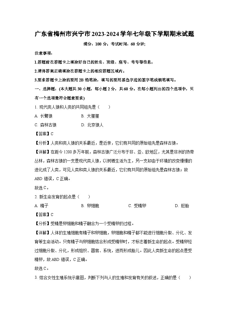 广东省梅州市兴宁市2023-2024学年七年级下学期期末生物试题（解析版）第1页