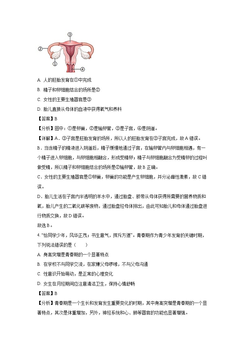 广东省梅州市兴宁市2023-2024学年七年级下学期期末生物试题（解析版）第2页