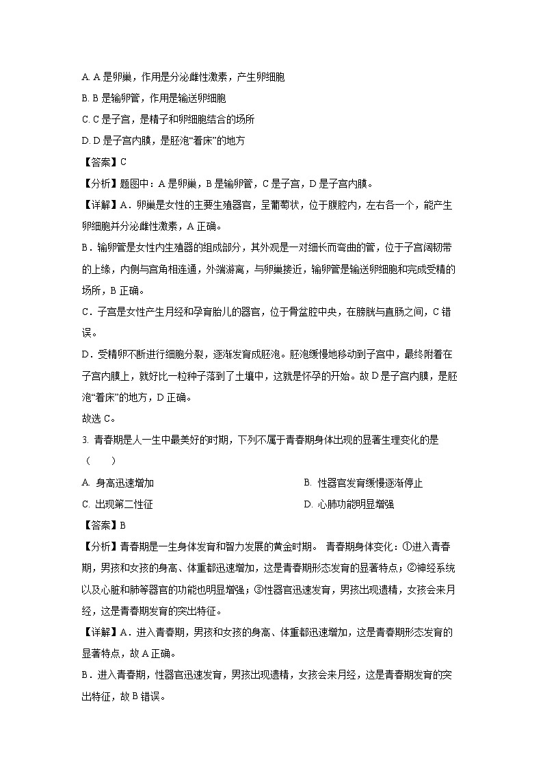 广东省汕头市澄海区2023-2024学年七年级下学期期末生物试题（解析版）第2页