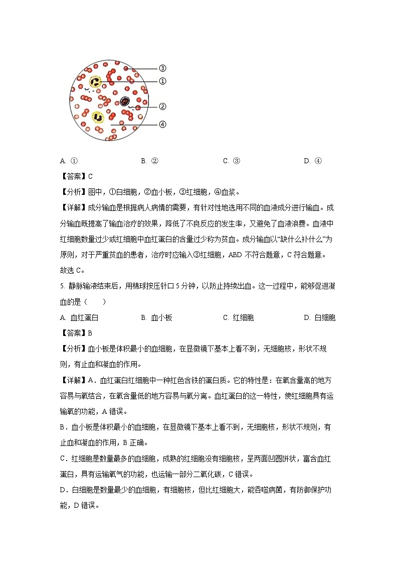 广东省肇庆市封开县2023-2024学年七年级下学期期末生物试题（解析版）第3页