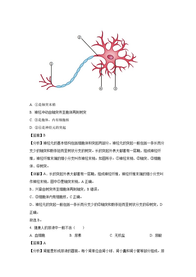 海南省省直辖县级行政单位临高县2023-2024学年七年级下学期期末生物试题（解析版）第2页
