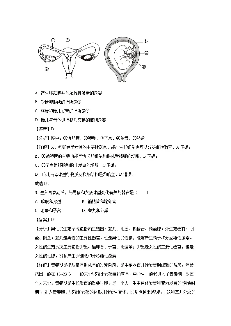 海南省省直辖县级行政单位琼海市2023-2024学年七年级下学期期末生物试题（解析版）第2页