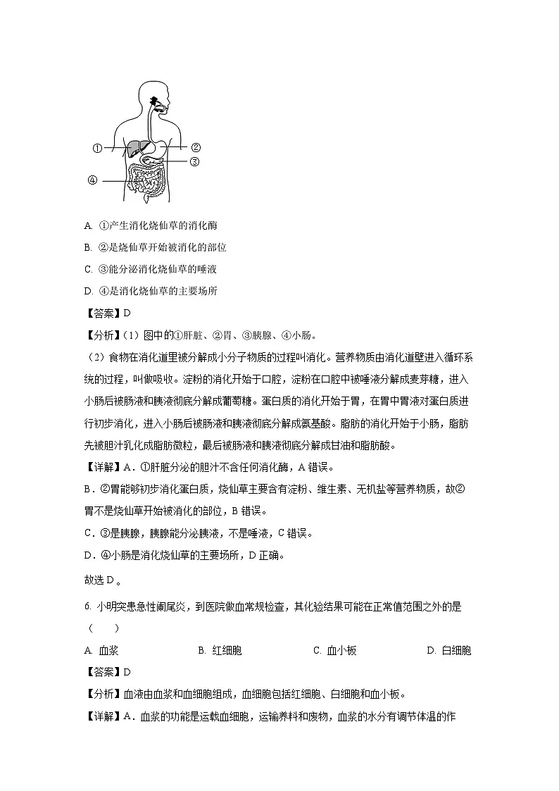 河南省洛阳市汝阳县2023-2024学年七年级下学期期末生物试题（解析版）第3页