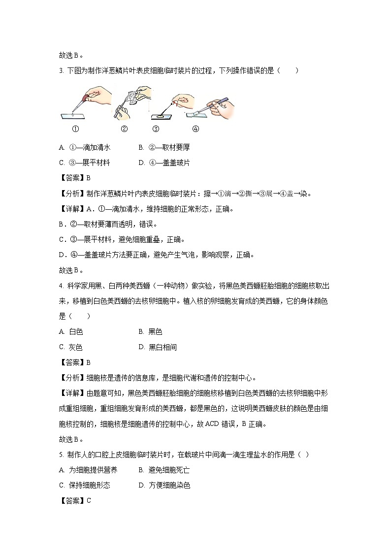 江苏省宿迁市泗阳县2023-2024学年七年级下学期期末生物试题（解析版）第2页