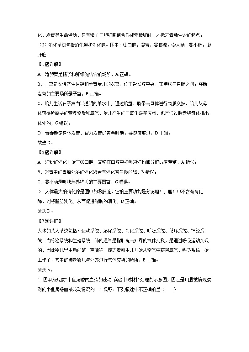 湖北省孝感市孝昌县2023-2024学年七年级下学期期末生物试题（解析版）第2页