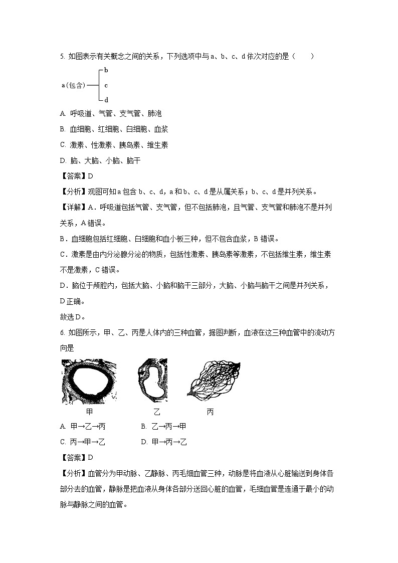 江苏省盐城市东台市2023-2024学年七年级下学期期末生物试题（解析版）第3页