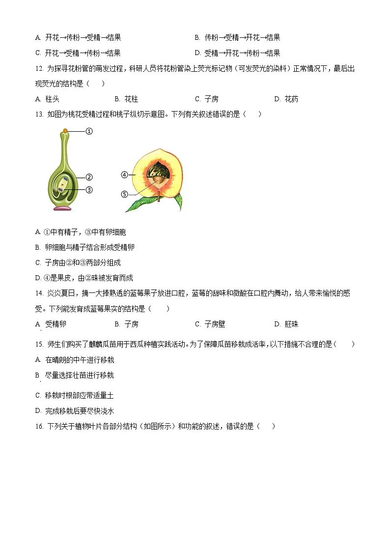 陕西省榆林市2024-2025学年七年级下学期3月月考生物试题（原卷版+解析版）第3页