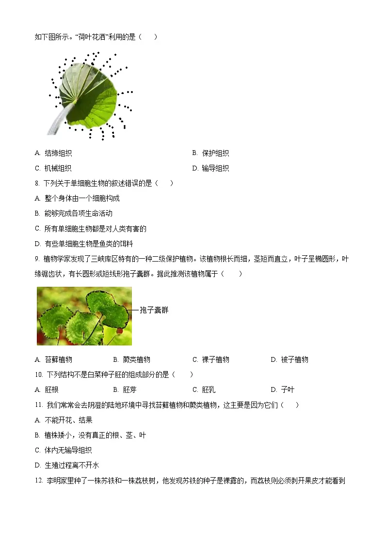 新疆阿克苏地区阿克苏市2024-2025学年七年级上学期期末生物试题（原卷版+解析版）第2页