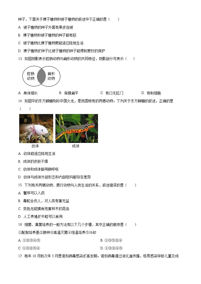 新疆阿克苏地区阿克苏市2024-2025学年七年级上学期期末生物试题（原卷版+解析版）第3页