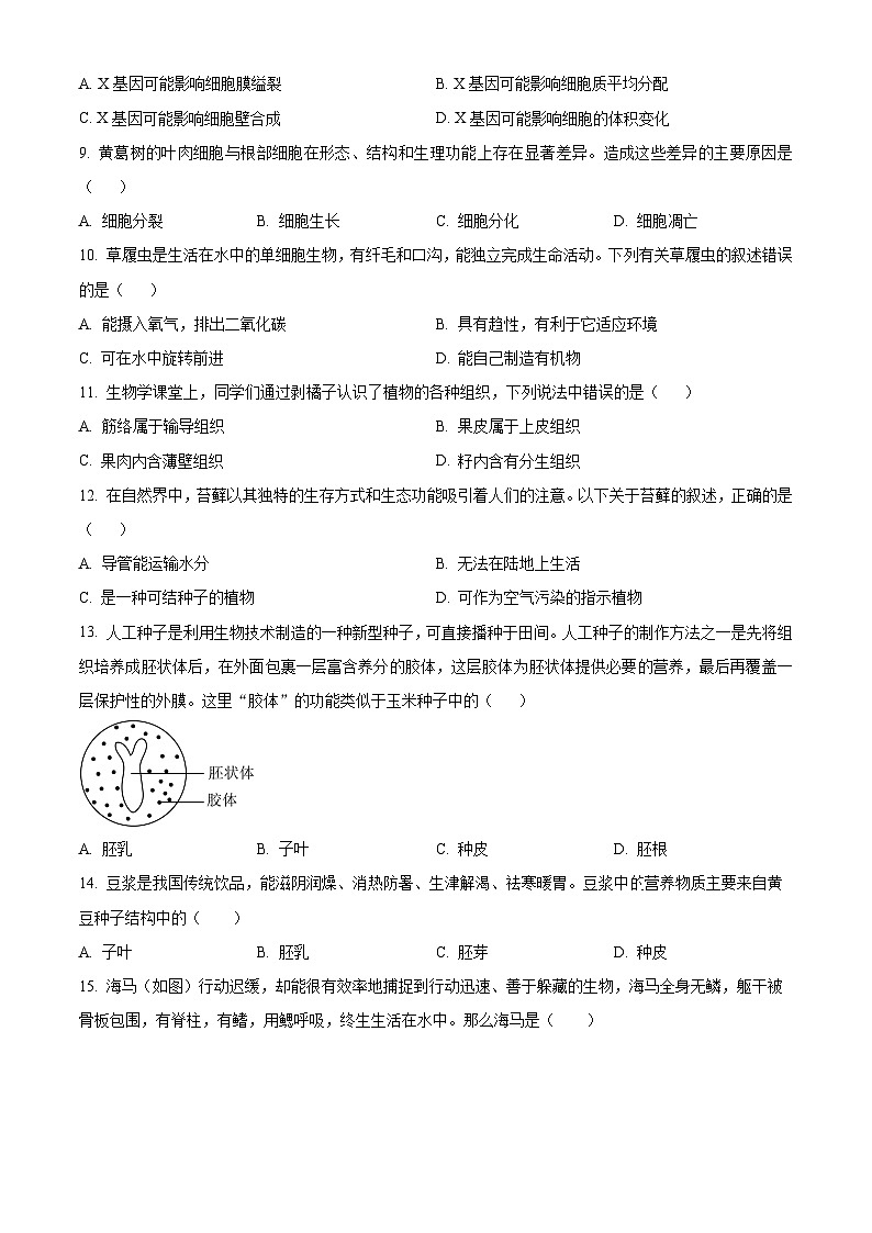 重庆市渝中区2024-2025学年七年级上学期期末生物试题（原卷版+解析版）第2页