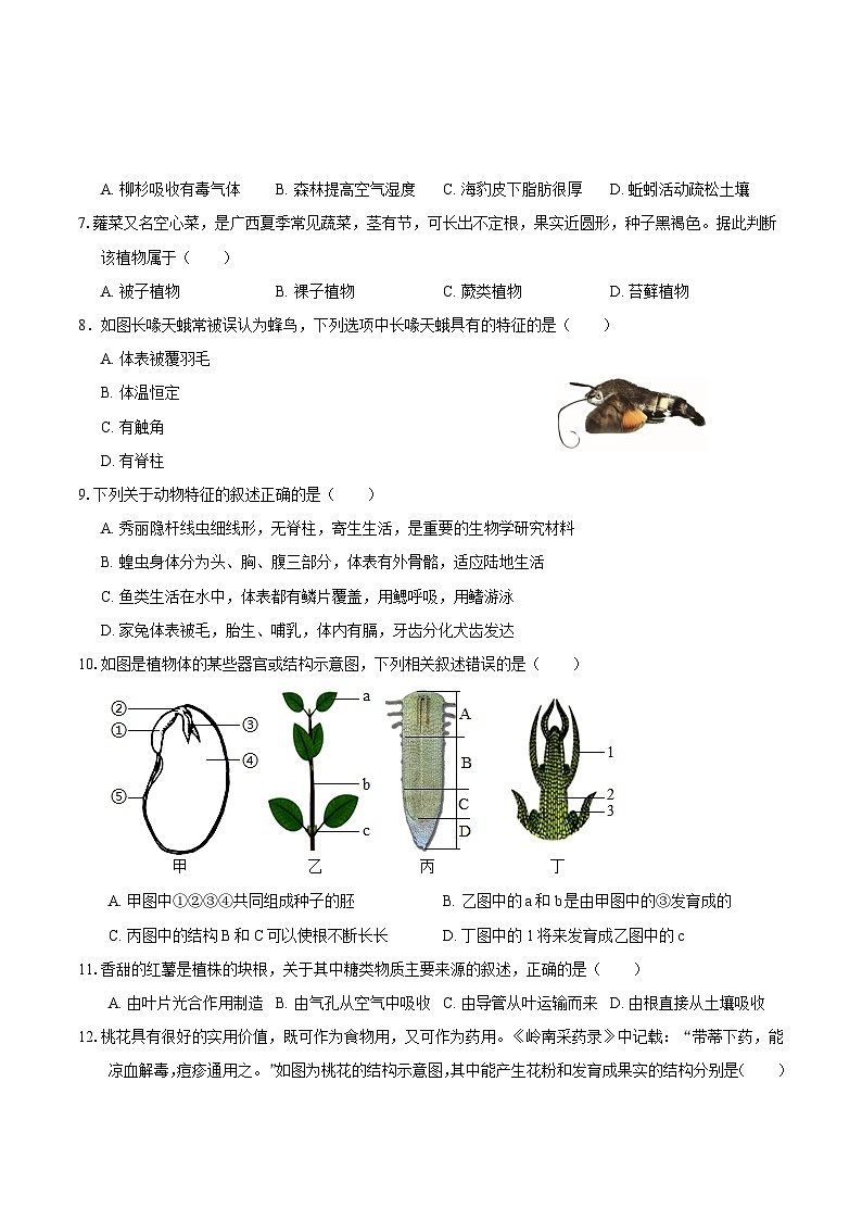 2025年中考押题预测卷：生物（江西卷）（考试版）第2页