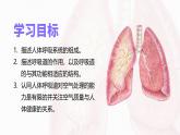 人教版2024七年級(jí)下冊(cè)生物3.1 呼吸道對(duì)空氣的處理 課件