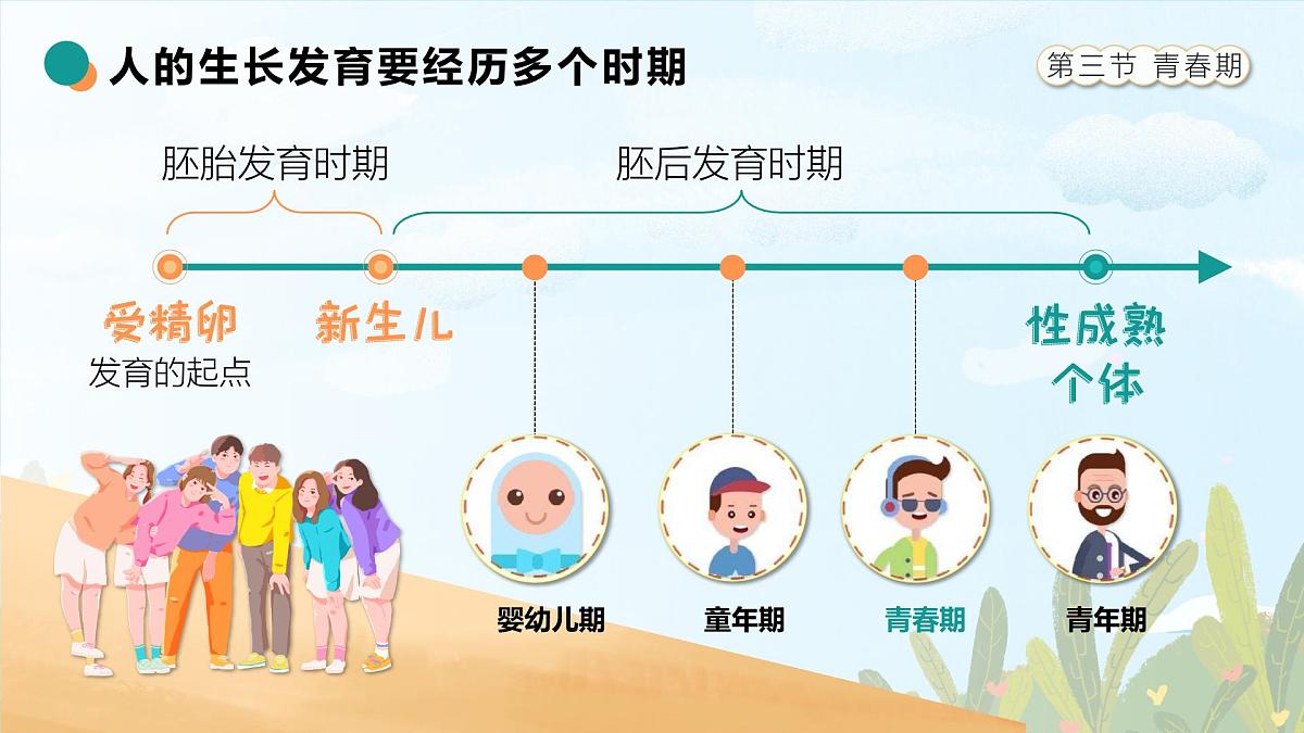 人教版2024七年级下册生物4.1.3青春期 课件第3页