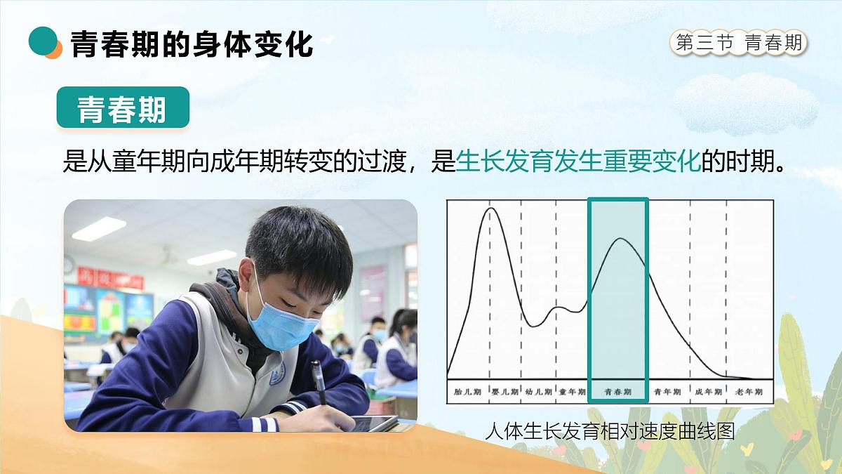 人教版2024七年级下册生物4.1.3青春期 课件第5页