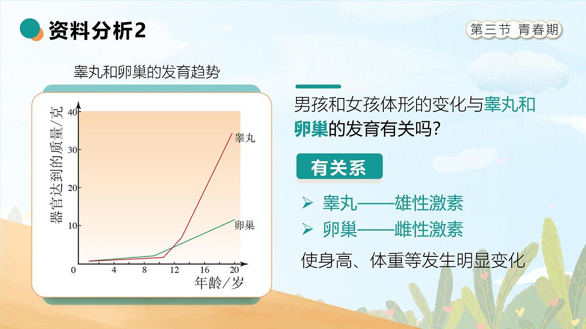 人教版2024七年级下册生物4.1.3青春期 课件第7页