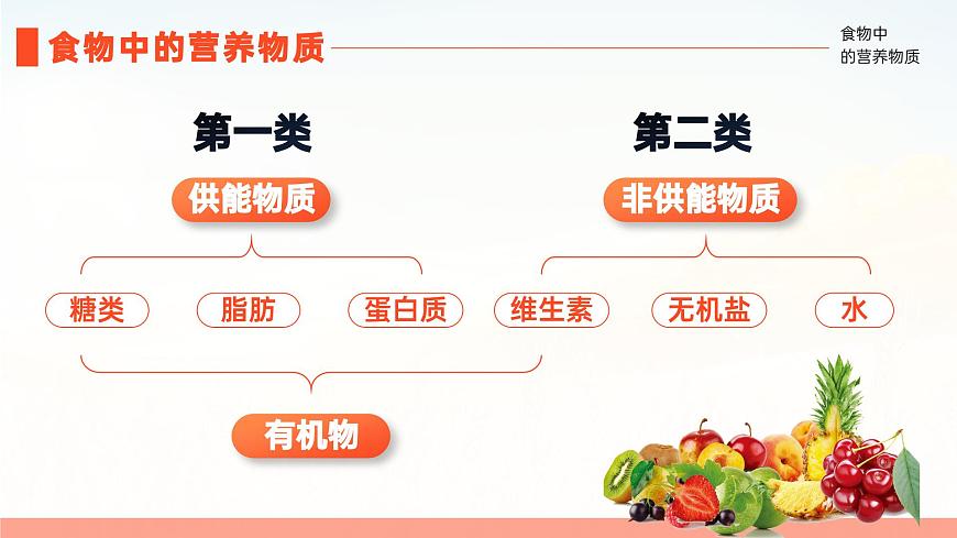 人教版2024七年级下册生物4.2.1食物中的营养物质（2课时） 课件第6页