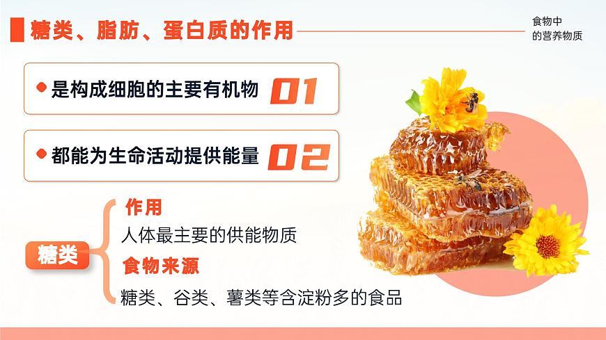 人教版2024七年级下册生物4.2.1食物中的营养物质（2课时） 课件第7页