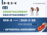人教版2024七年級(jí)下冊(cè)生物4.3.2發(fā)生在肺內(nèi)的氣體交換 課件