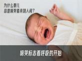 人教版2024七年級(jí)下冊(cè)生物呼吸道對(duì)空氣的處理 課件