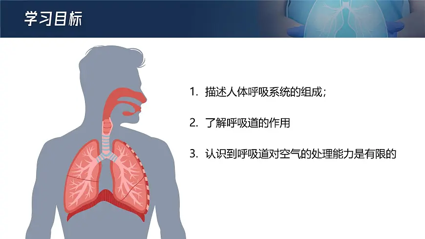 人教版2024七年级下册生物呼吸道对空气的处理 课件第3页