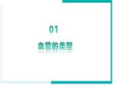 4.4.2 血流的管道——血管 - 初中生物七年级下册 同步教学课件+教学设计（人教版2024）