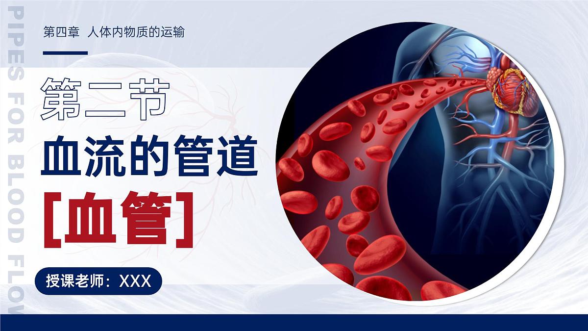 人教版2024七年级下册生物4.4.2血流的管道血管 课件第1页