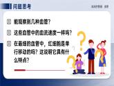 人教版2024七年級(jí)下冊(cè)生物4.4.2血流的管道血管 課件