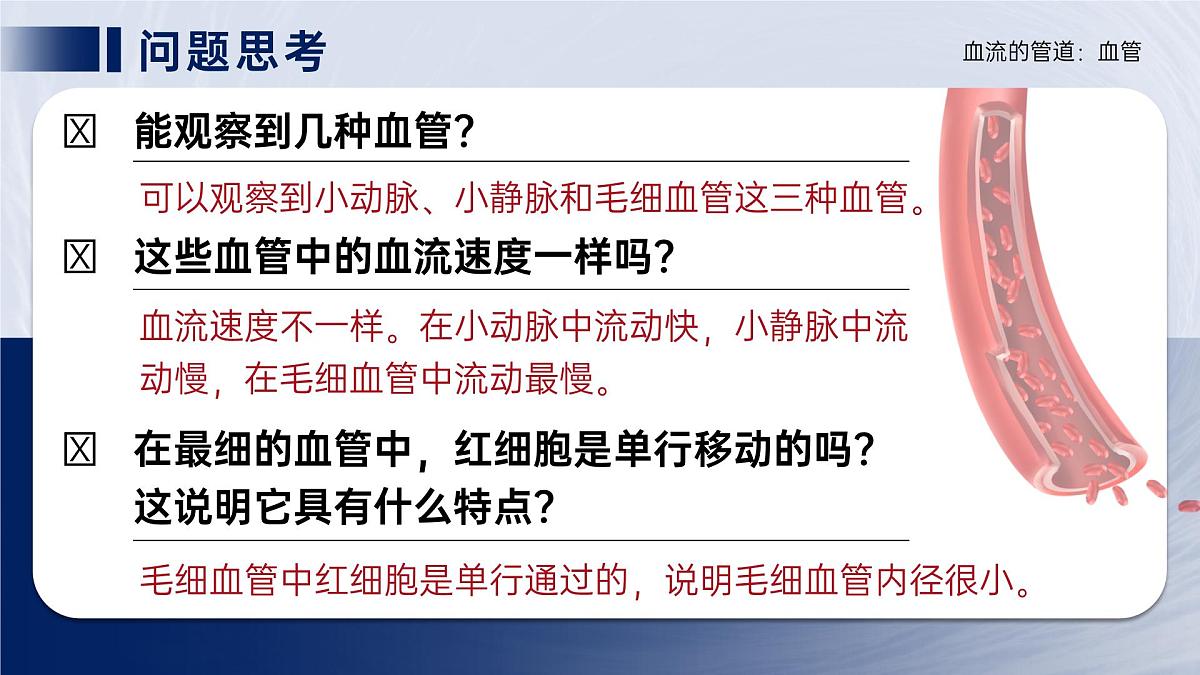 人教版2024七年级下册生物4.4.2血流的管道血管 课件第7页