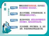 初中生物冀少版（2024）七年級下冊3.5.4 運動的完成 課件