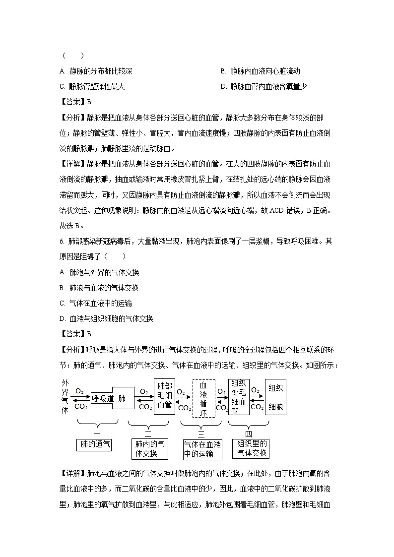 辽宁省沈阳市沈河区2023-2024学年七年级下学期期末生物试题（解析版）第3页