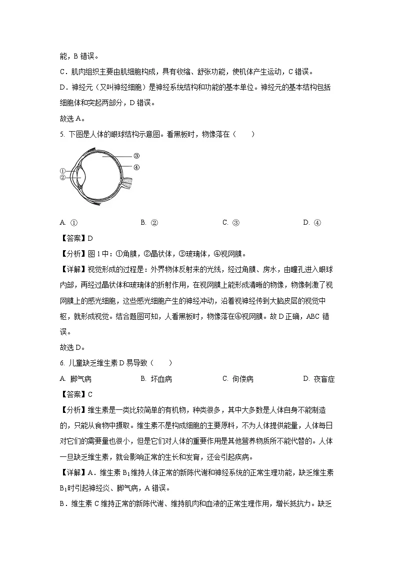 辽宁省盘锦市双台子区2023-2024学年七年级下学期期末生物试题（解析版）第3页