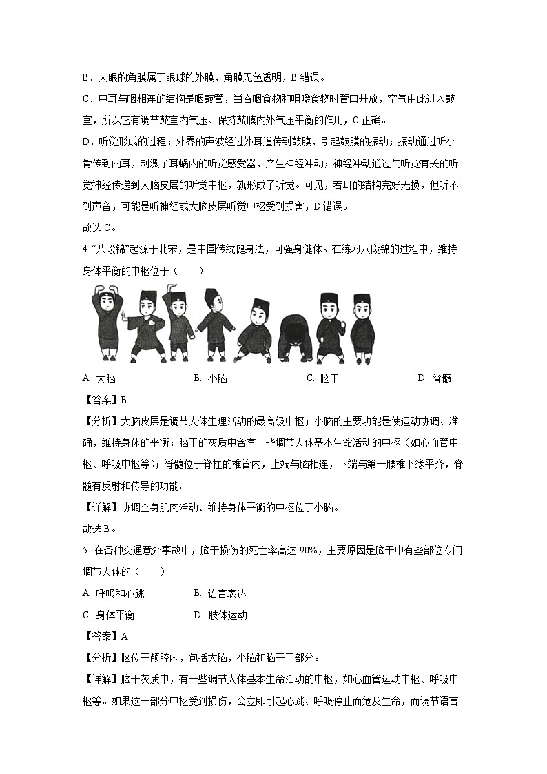 山东省烟台市牟平区2023-2024学年七年级下学期期末生物试题（解析版）第3页