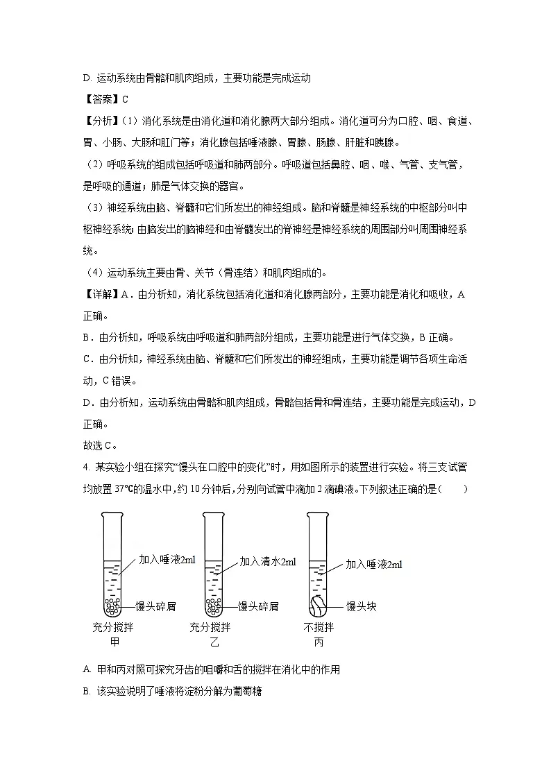山东省济宁市金乡县2023-2024学年七年级下学期期末生物试题（解析版）第3页