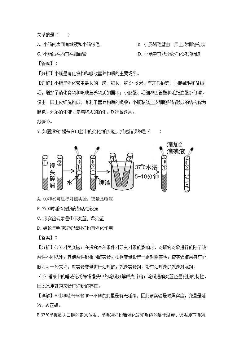 山东省济南市历城区2023-2024学年七年级下学期期末生物试题（解析版）第3页