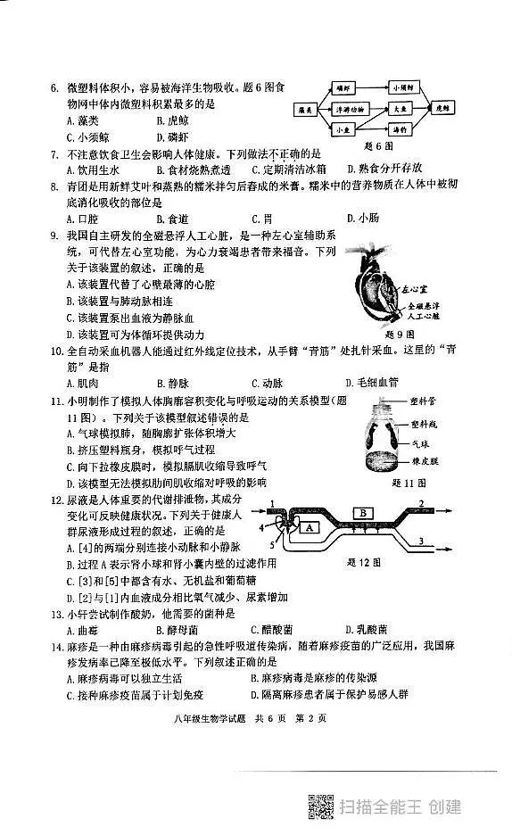 2025年广东省汕头市潮阳区中考二模生物试题（中考模拟）第2页