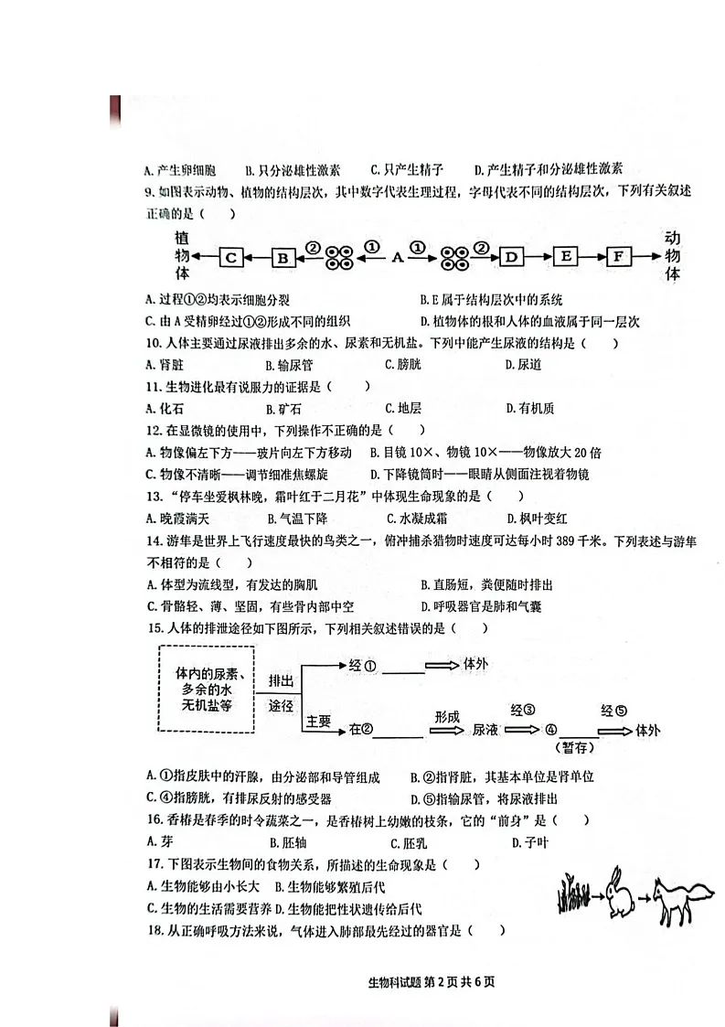 2025年海南省澄迈县初中毕业生学业水平考试二模生物试题（中考模拟）第2页