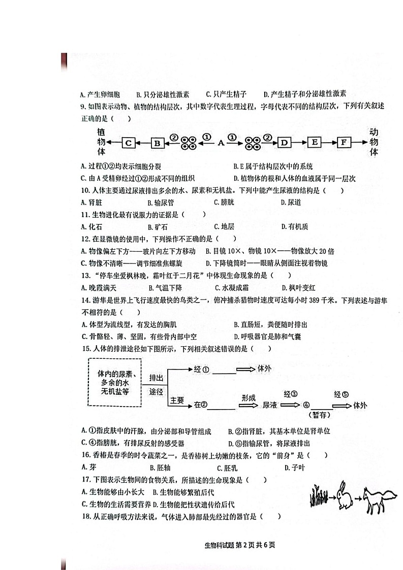 2025年海南省澄迈县初中毕业生学业水平考试二模生物试题（中考模拟）第2页