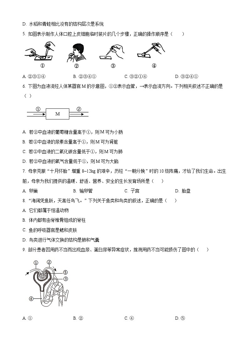 2025年河南省驻马店市驿城区八年级一模生物试题（中考模拟）第2页
