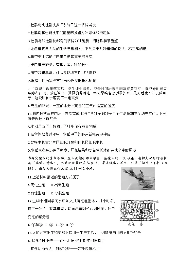 2025年黑龙江省大庆市大庆中考二模生物试题 （中考模拟）第2页