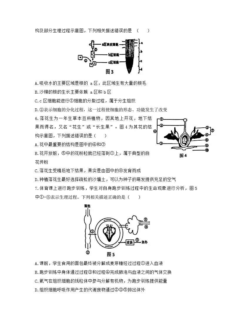 2025年江苏省徐州市沛县二模生物试题（中考模拟）第2页