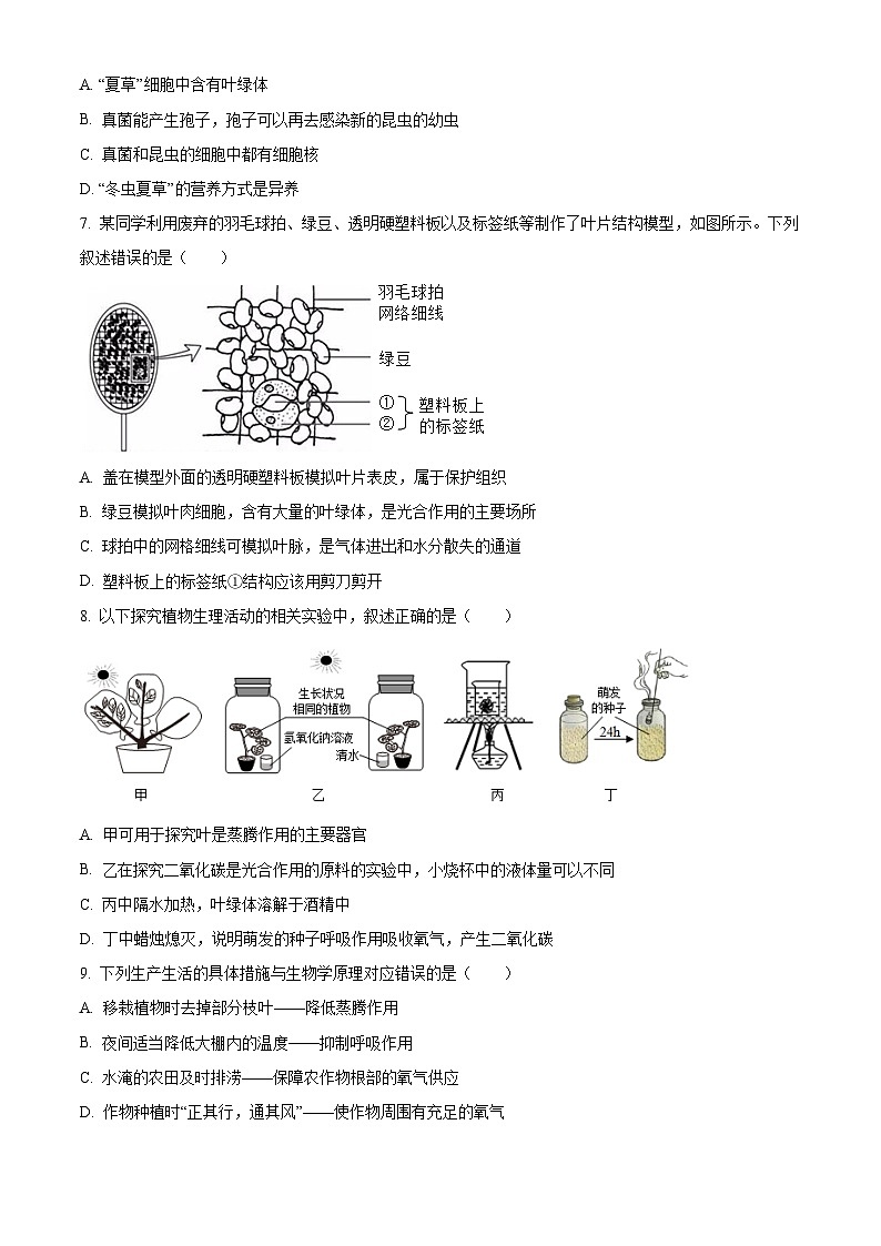 2025年山东省德州市中考二模生物试题（原卷版+解析版）（中考模拟）第3页