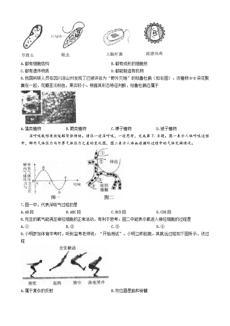 2025年山西省忻州地区中考二模生物试题（中考模拟）第2页