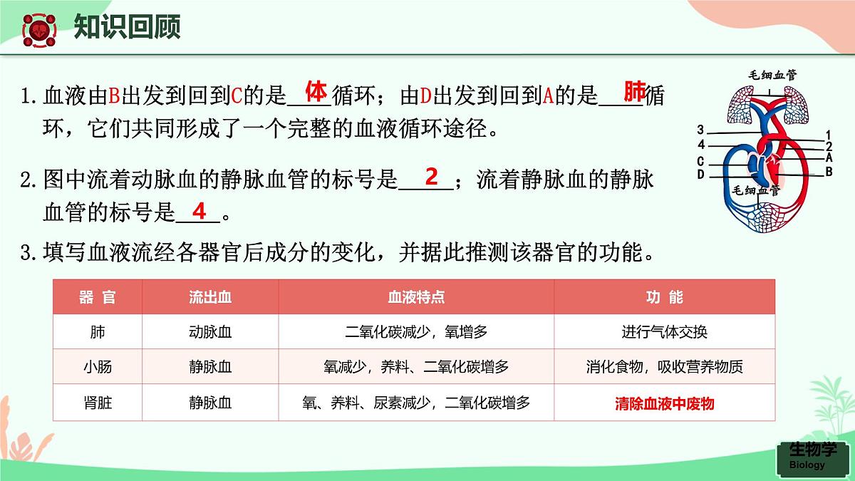 第五章+人体内废物的排出课件-2024-2025学年人教版生物七年级下册第2页