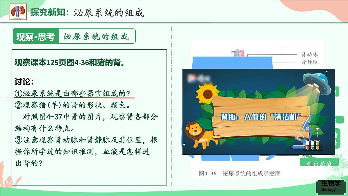 第五章+人体内废物的排出课件-2024-2025学年人教版生物七年级下册第5页