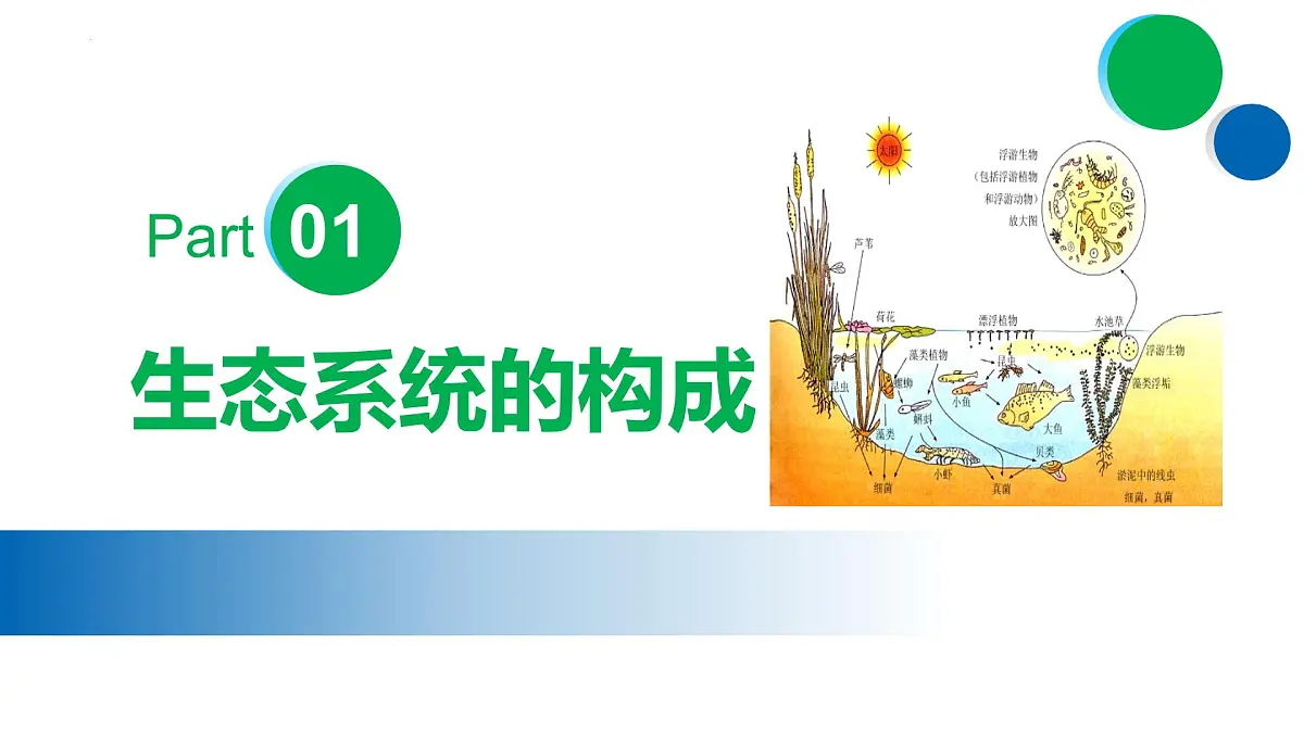 专题01+生物与环境（复习课件）-2024-2025学年七年级生物下学期期末考点大串讲（苏教版2024）课件第4页