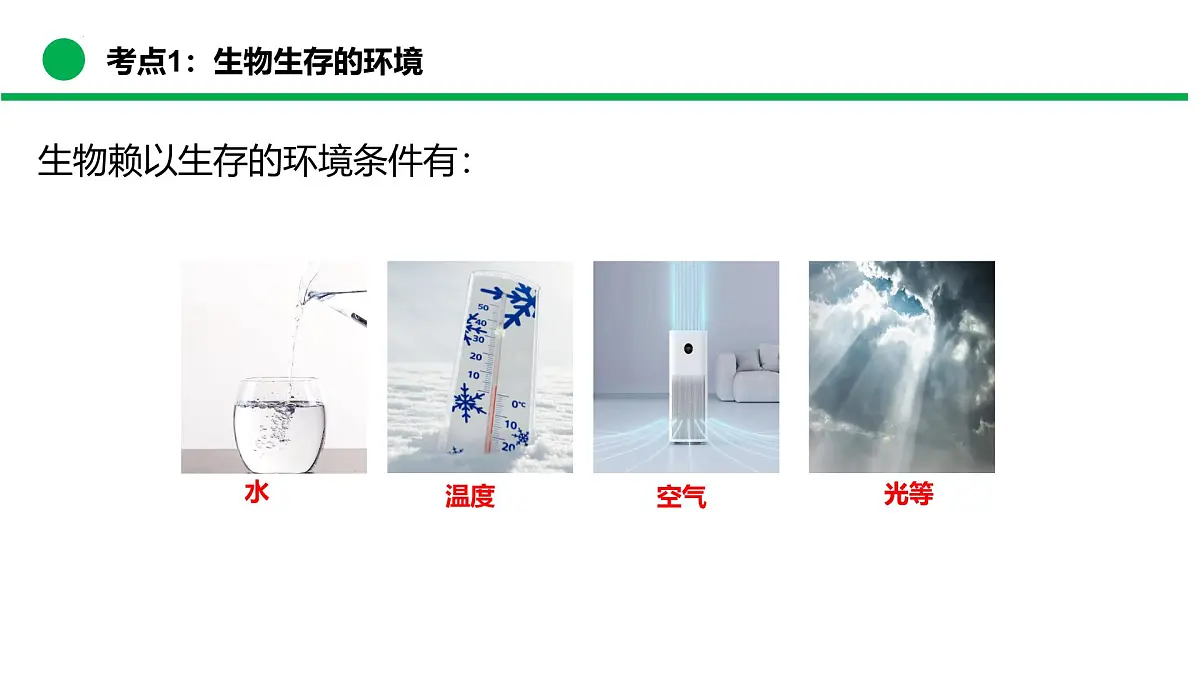 专题01+生物与环境（复习课件）-2024-2025学年七年级生物下学期期末考点大串讲（苏教版2024）课件第5页
